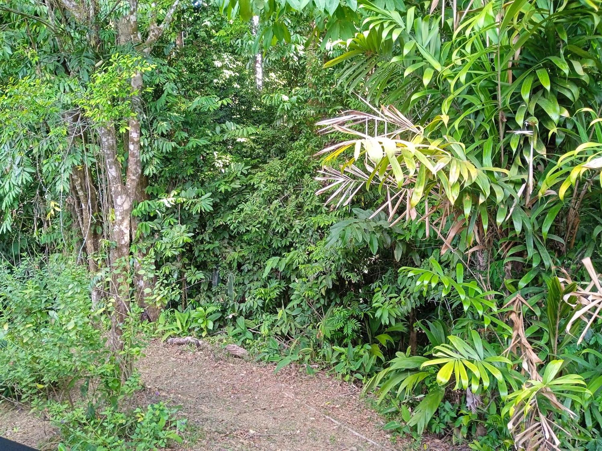 Cabanas Bajo Bosque Drake Драке Экстерьер фото